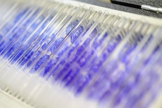 cell culture slides