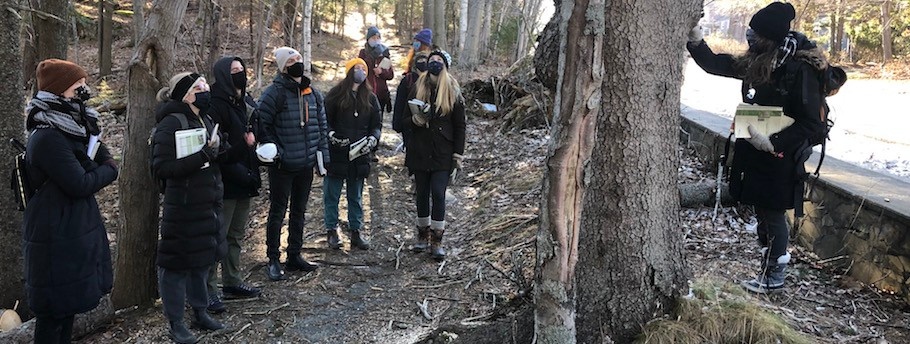 A group of MREM students dressed in winter gear stand in a forest looking at an instructor who is touching a tree