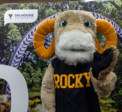 Rocky the ram mascot