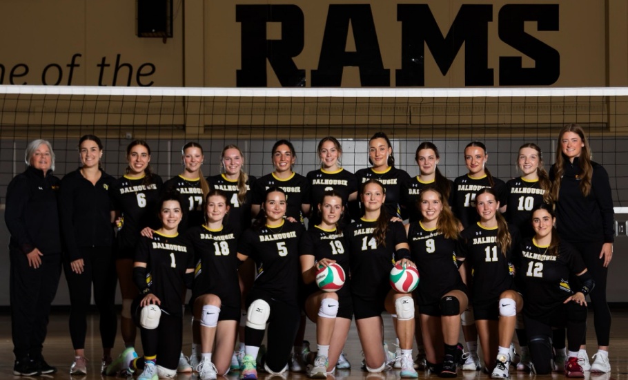 DAL-AC Volleyball W-9079