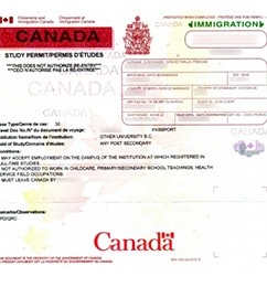 Картинки по запросу study permit canada