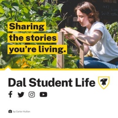 Graphic for the Student Life Hub