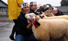 Four students with sheep at College Royal