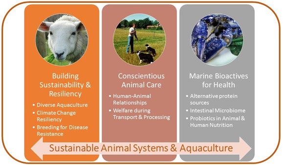 Research - Department of Animal Science and Aquaculture - Dalhousie  University