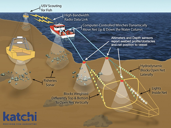 Where ideas meet impact: Fisheries tech start‑up catches resources