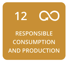 Responsible Consumption and Production (SDG 12) 