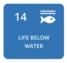 Life Below Water (SDG 14)