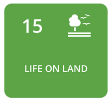Life on land (SDG 15)