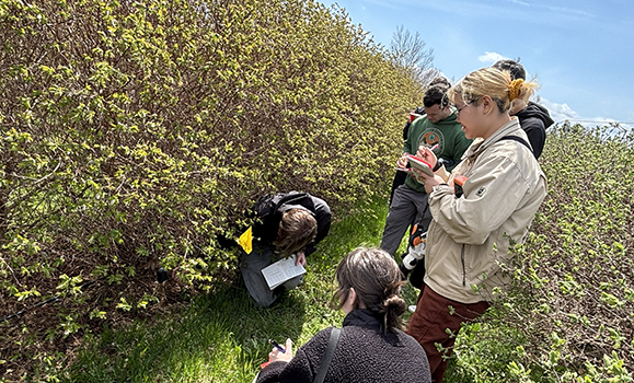 Students take nutrient and environmental readings with nutrient, pH and moisture content meters at a Haskap farm in Nova Scotia