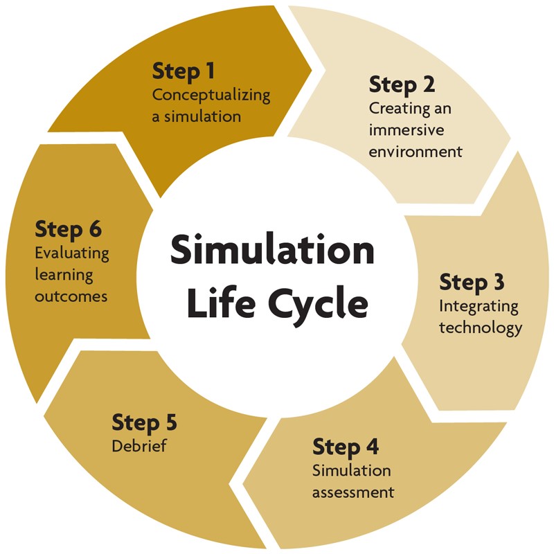 Simulations and Student Learning - pilipili漫画