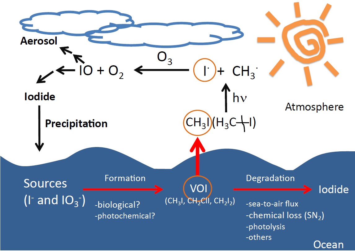 Halocarbon Cycle ‑ Iodine - CERC.OCEAN - Dalhousie University