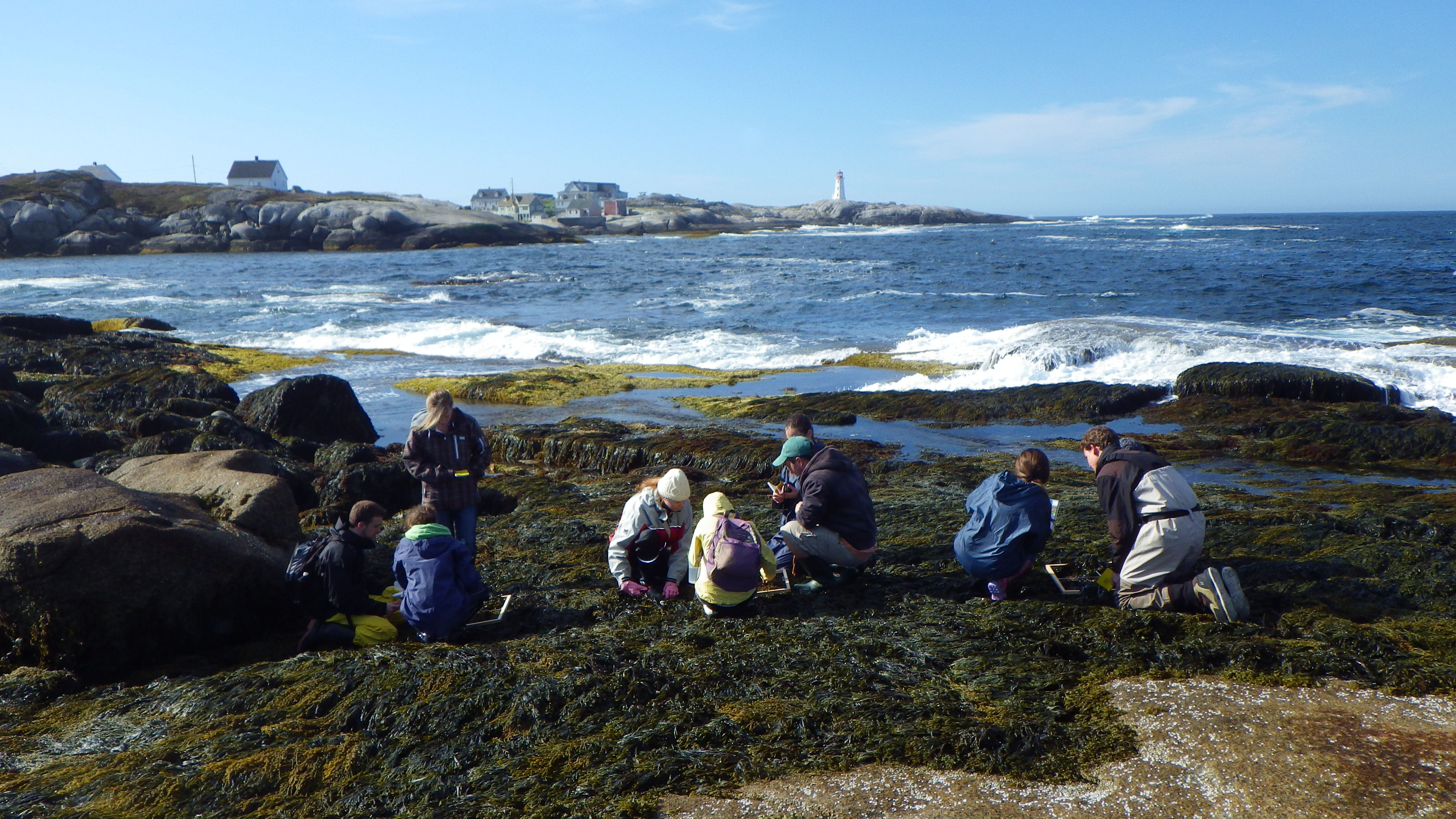 Programs - Marine Biology - Dalhousie University