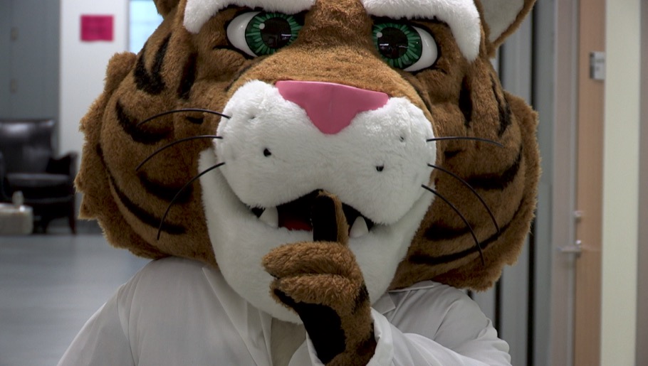 Tiger mascot making shushing gesture
