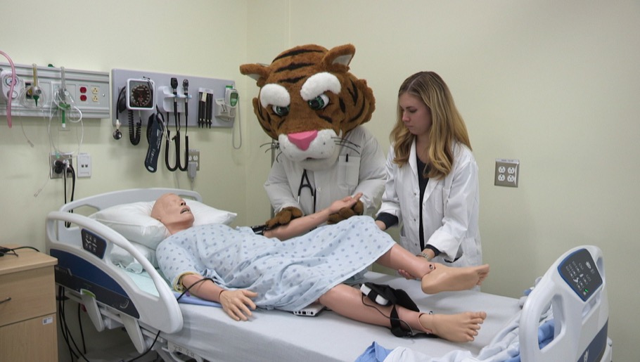 Professor and tiger mascot carefully adjusting mannequin position