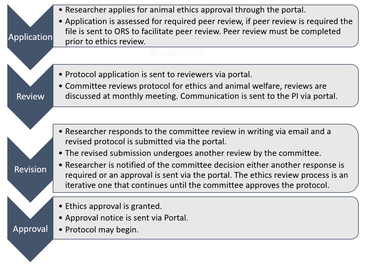 Animal Ethics Review Process