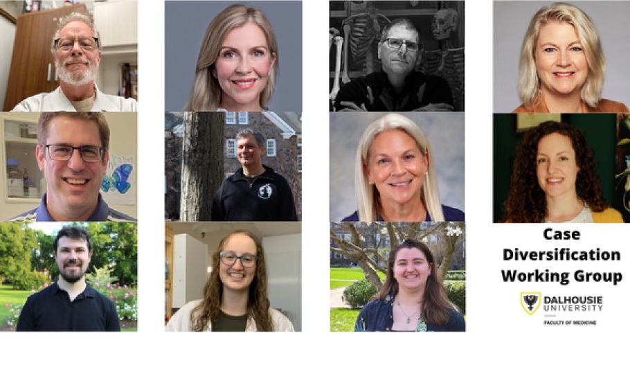 Top row (left to right): Dr. George Kovacs, Dr. Anna MacLeod, and Rob Sandeski, Dr. Heidi Weigand. Middle row (left to right): Dr. Jan Rainey, Dr. Christopher Greene, Dr. Liesl Gambold Dr. Sarah Chisholm, Bottom row (left to right): Clark Brown, Jessica (Jess) Latimer, Sam Knight, Case Diversification Working Group.