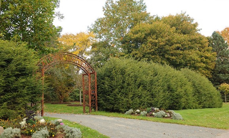 Path in the Alumni Gardens