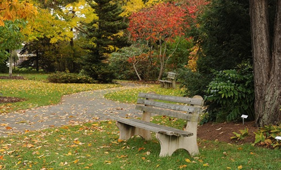 Autumn scene of bench and pathway in the Alumni Gardens