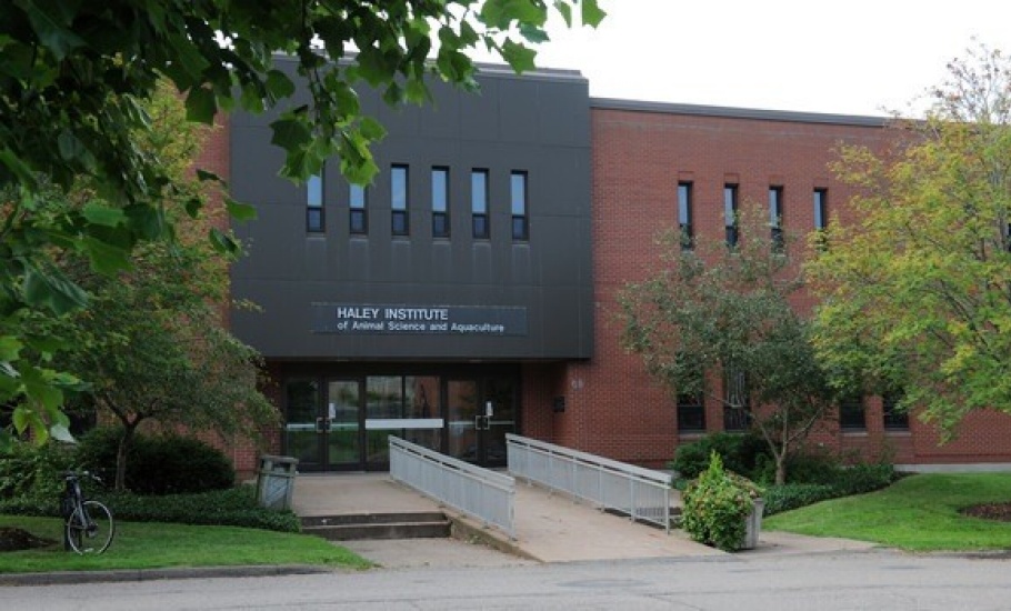 Exterior view of Haley Institute