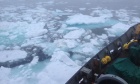 Labrador Sea Cruise Report: Estimating the Anthropogenic Carbon Inventory