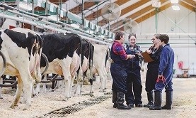 Students and instructor in a cow barn
