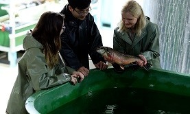 resized for homepage Aquaculture-July29 resized for homepage Aquaculture-July29