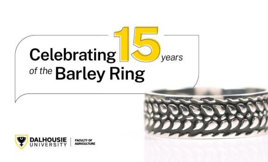 Barley Ring on white background