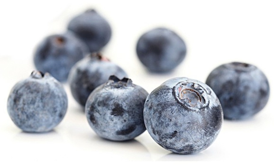 Blueberries on white_cropped_579x350