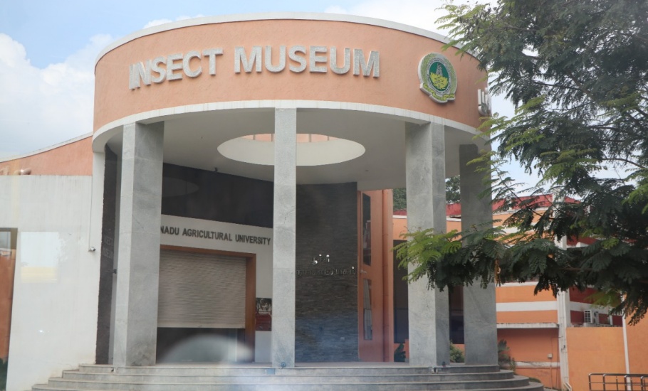 TNAU19-insect museum