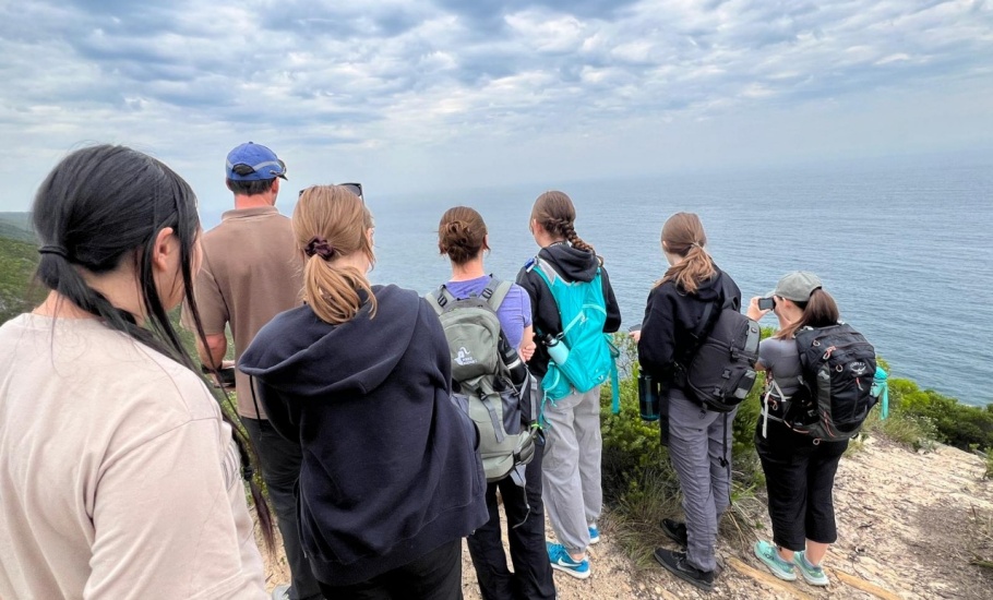 Humpback whale watching - MG