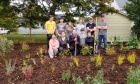 Hands‑on Learning in Landscape Horticulture