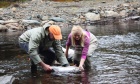 Saving Nova Scotia’s wild Atlantic salmon