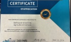 Certificate of Appreciation – Public Health