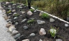 Growing with Confidence: Shirley Thorn’s Journey as a Master Gardener in Training
