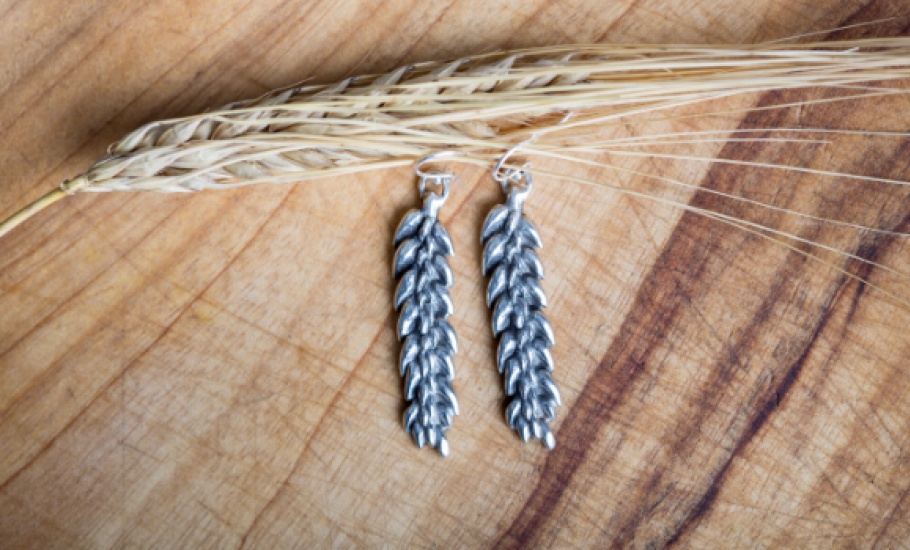Barley3579