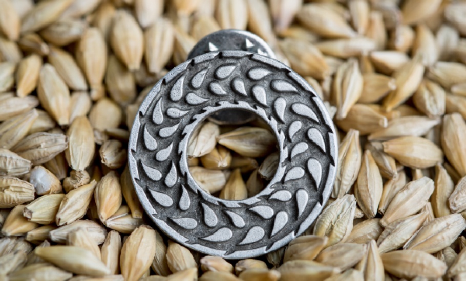 Barley1579
