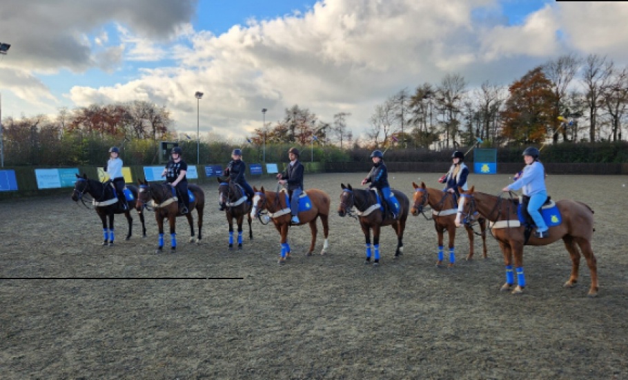 Equine579