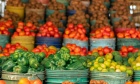 From Markets to Meals: Dalhousie Researcher Leads Global Food Systems Study