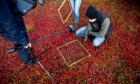 New Precision Agriculture program aims to build skilled workforce for Atlantic Canada’s growing AgTech sector
