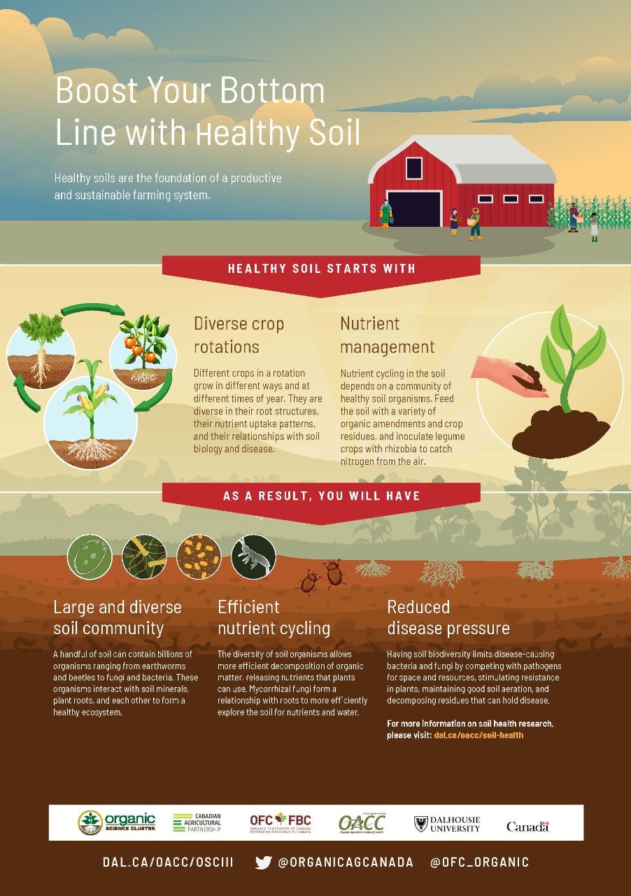 Soil Health Infographic_FINAL