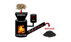 Biochar