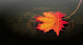 CANA_C-Dawson-large-1 CANA_C-Dawson-large-1
