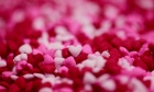 Valentine's Day Sonnet Contest 2019