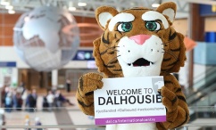 Exchange_tiger airport welcome 579x350