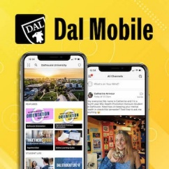 Dal Mobile_web ad