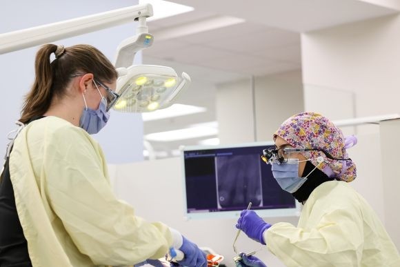 two dentists working