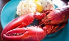 Calgary Alumni Lobster Dinner