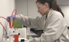 Megan Bellemare: A Journey Through Chemical Engineering