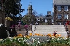 20100504-np-campus-views-stock-173-lpr