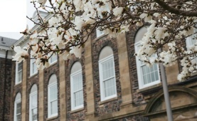 Developments in Dementia 101 Recording